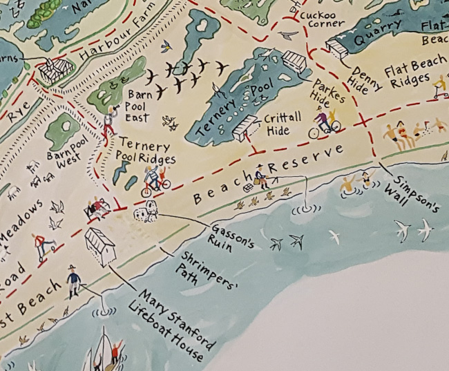 Rye Harbour Nature Reserve’s 2016